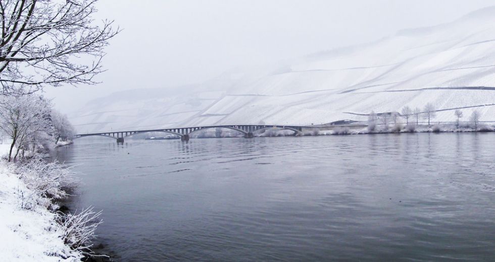 Moselpanorama im Winter.jpeg