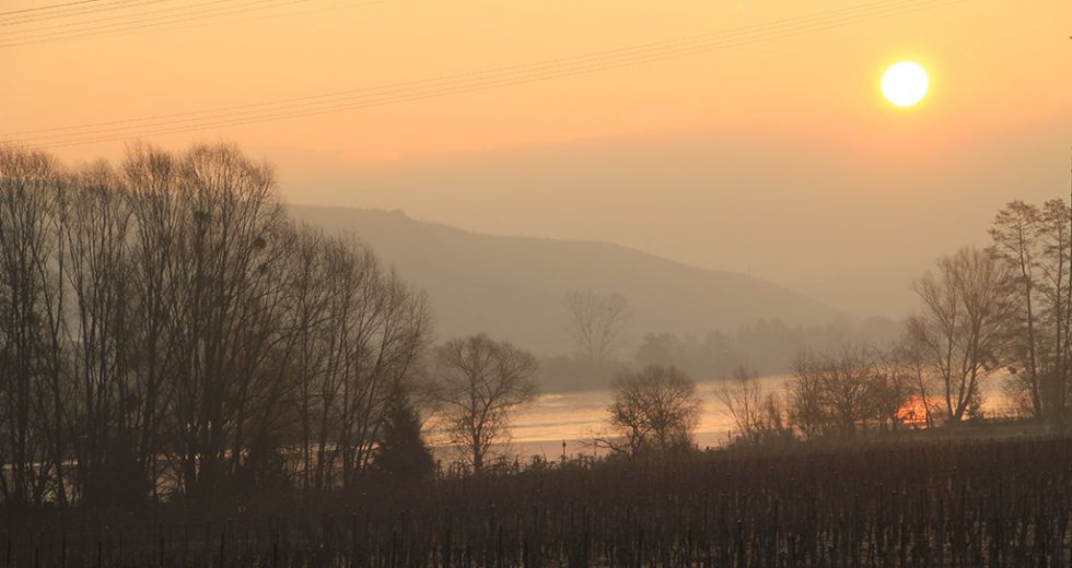 Sonnenaufgang im Herbst.jpg