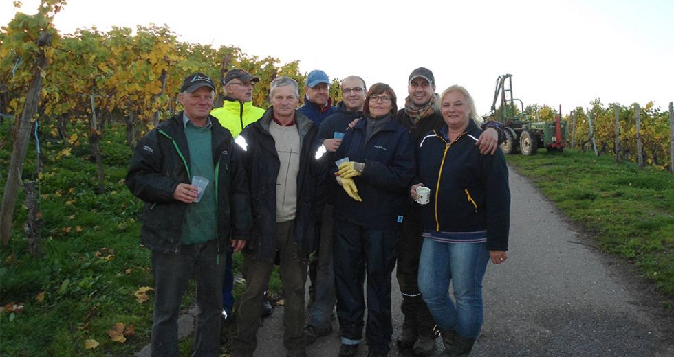 Team Traubenlese 2013.jpg